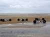 36_Ligue Cabourg