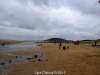44_Ligue Cabourg