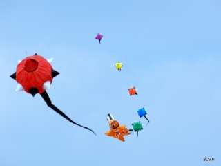 Boules à piques 3CV.fr