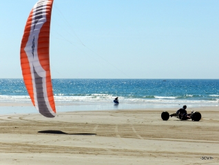 DSCN3151
