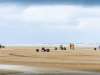 21_Ligue Cabourg