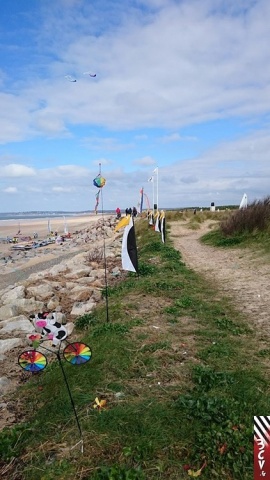 22_animation portbail