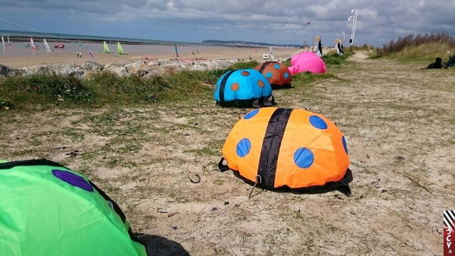 46_animation portbail