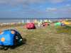 31_animation portbail