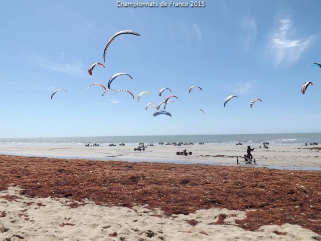 76_CDF2015
