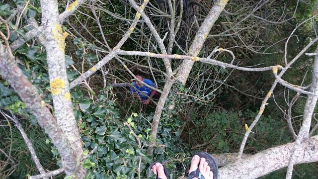 10430489_10207259846196302_5503905286948141949_n