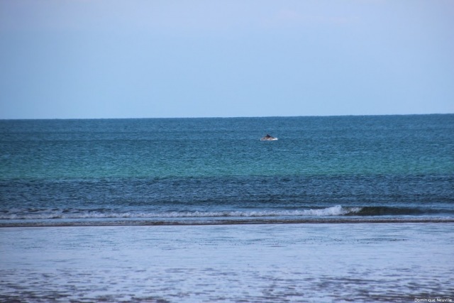 438_GP_Vauville_Avril2016