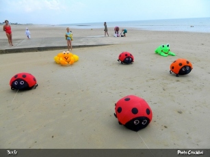 DSCN0449-BorderMaker