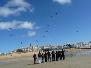 575269_4543940272326_1962974429_n