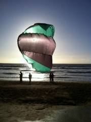 892485_558491014195861_365585210_o