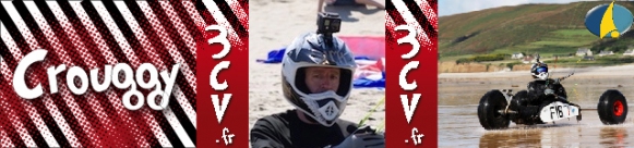 baniere-web-crouggy-manchot-01-01