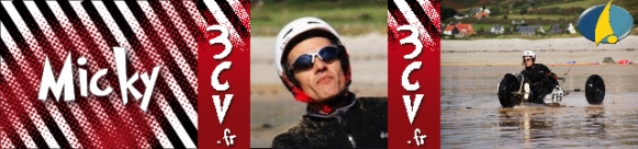 baniere-web-micky-manchot-01