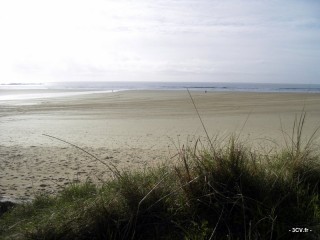SAMSUNG DIGITAL CAMERA