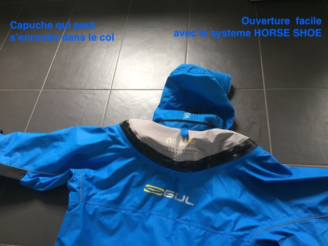 01_Gul_fugitive