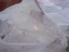100_0677.jpg
