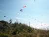 SDC10752.JPG