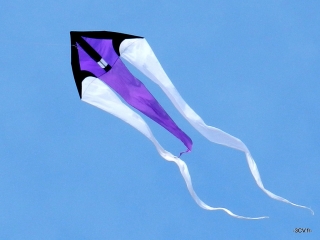 F-Tail Violet 3CV.fr