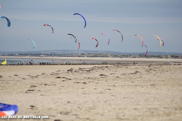 22_AilesBrettville2015