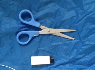 photo1